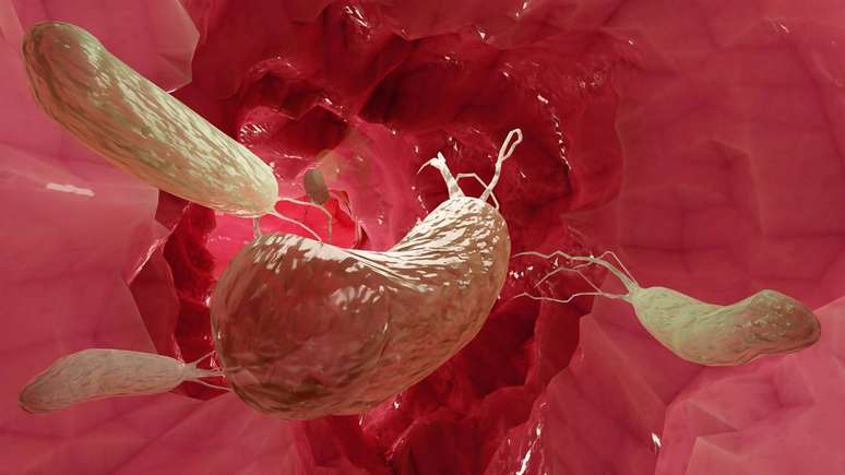 Medidas simples de higiene, como lavar bem as m&atilde;os e evitar compartilhar utens&iacute;lios, ajudam a reduzir o risco de infec&ccedil;&atilde;o por Helicobacter pylori &ndash; depositphotos.com / aamine29000