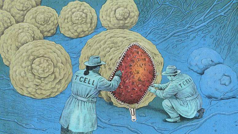 As c&eacute;lulas cancerosas, muitas vezes, podem se parecer com as outras c&eacute;lulas saud&aacute;veis &agrave; sua volta, de forma que o sistema imunol&oacute;gico pode precisar de indicadores para auxiliar na sua identifica&ccedil;&atilde;o