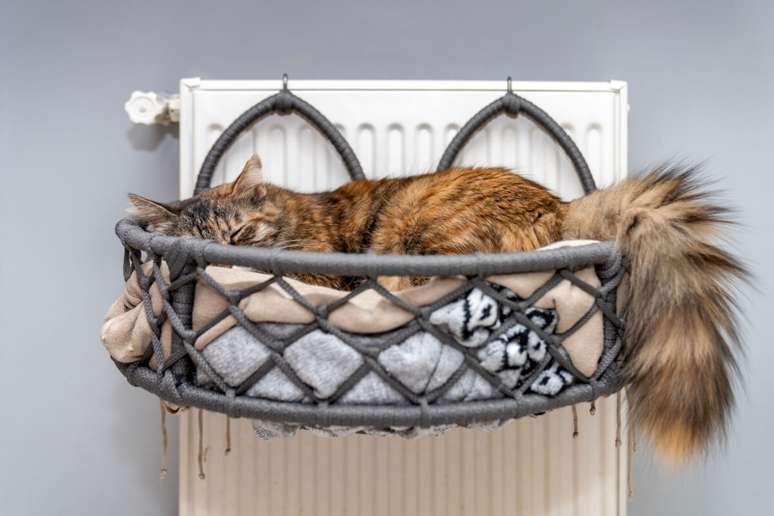 Uma cama adequada e bem posicionada contribui para o bem-estar do gato, garantindo conforto e seguran&ccedil;a 