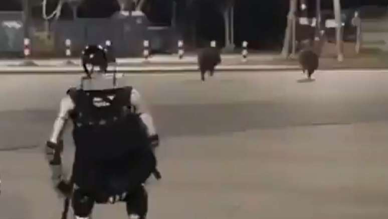 Um rob&ocirc; humanoide b&iacute;pede que emite luzes azuis &eacute; visto em um v&iacute;deo que circula nas redes sociais perseguindo javalis em uma &aacute;rea residencial de Vars&oacute;via, na Pol&ocirc;nia