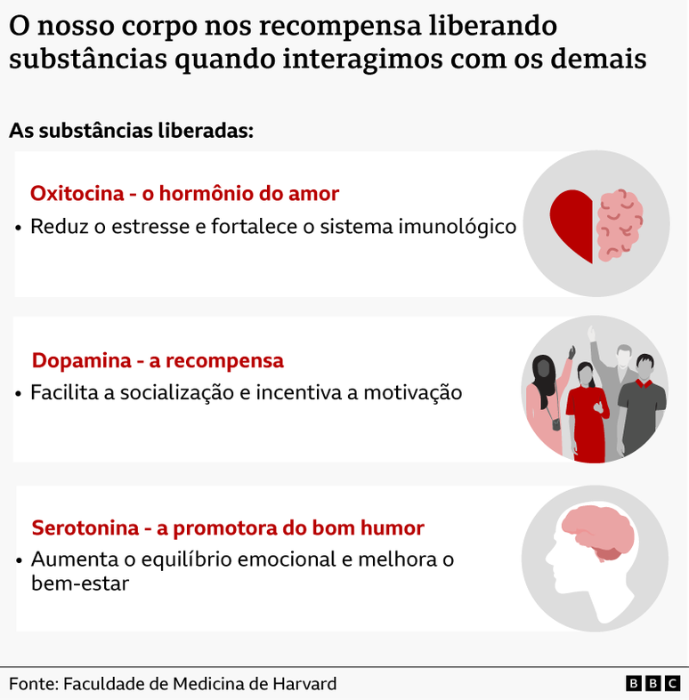 Gr&aacute;fico mostrando as tr&ecirc;s subst&acirc;ncias liberadas quando as pessoas se socializam: oxitocina, dopamina e serotonina