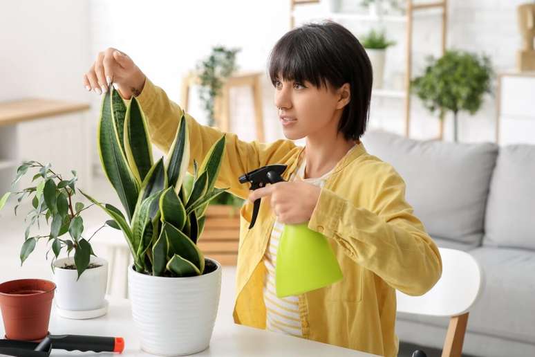 Plantas saud&aacute;veis renovam a energia da casa e fortalecem a sensa&ccedil;&atilde;o de equil&iacute;brio e bem-estar no ambiente 