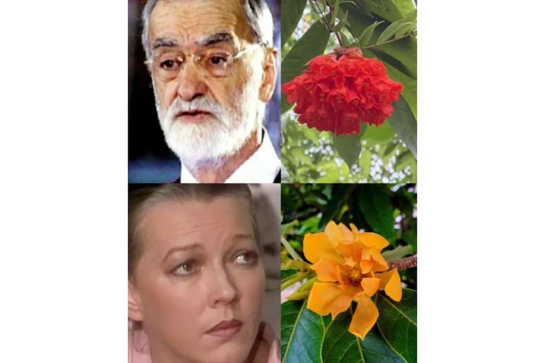 O ator Lineu Dias se tornou um sol da Bol&iacute;via e a atriz L&iacute;lian Lemmetz, uma magn&oacute;lia amarela