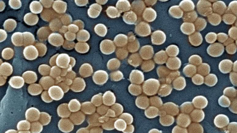 A resist&ecirc;ncia aos antibi&oacute;ticos das bact&eacute;rias isoladas nas cavernas ajuda os pesquisadores a encontrar novas subst&acirc;ncias para uso farmac&ecirc;utico