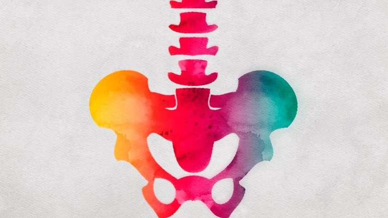 Uma pelve estreita facilita a locomo&ccedil;&atilde;o, mas limita o tamanho do canal vaginal