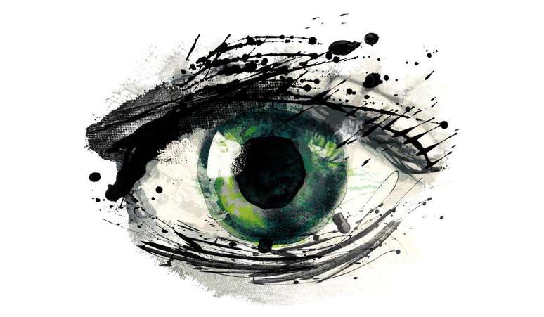 Em humanos e outros vertebrados a retina &eacute; conectada "de cabe&ccedil;a para baixo"