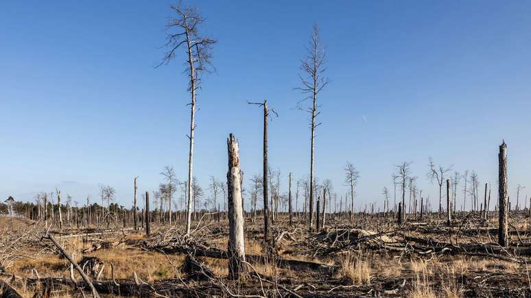 A atividade humana mudou visivelmente o nosso planeta