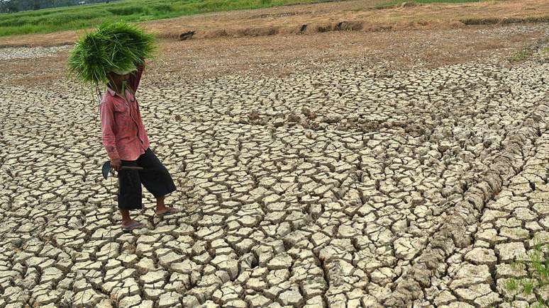 Os impactos do El Ni&ntilde;o variam enormemente em diferentes regi&otilde;es