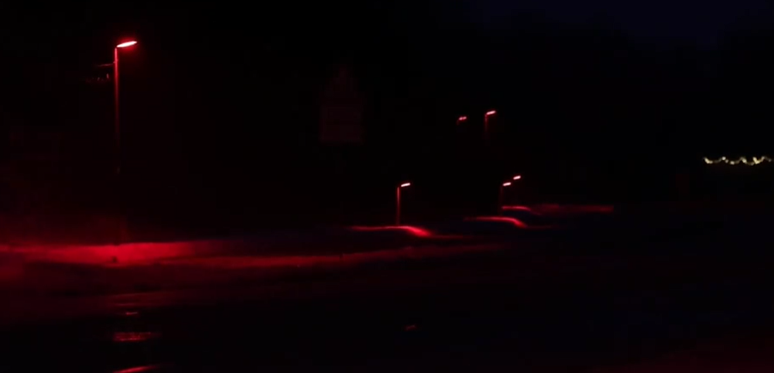 Ilumina&ccedil;&atilde;o vermelha para proteger fauna noturna: cidade na Dinamarca aposta em mudan&ccedil;a de cor para 'desbloquear' caminho de morcegos