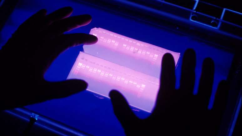 Os cientistas do Instituto de Gen&eacute;tica da Universidade Nacional da Col&ocirc;mbia empregam uma t&eacute;cnica que permite a obten&ccedil;&atilde;o do perfil gen&eacute;tico de uma pessoa em formato similar a um c&oacute;digo de barras