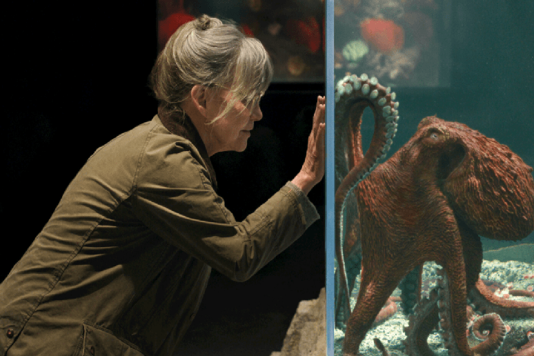 &ldquo;Criaturas Extraordinariamente Brilhantes&rdquo; conta a hist&oacute;ria de uma vi&uacute;va que forma uma parceria com um polvo-gigante e um jovem em busca de fam&iacute;lia 