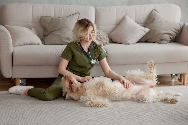 O excesso de gordura do tutano pode causar desequil&iacute;brios no sistema digestivo do cachorro 