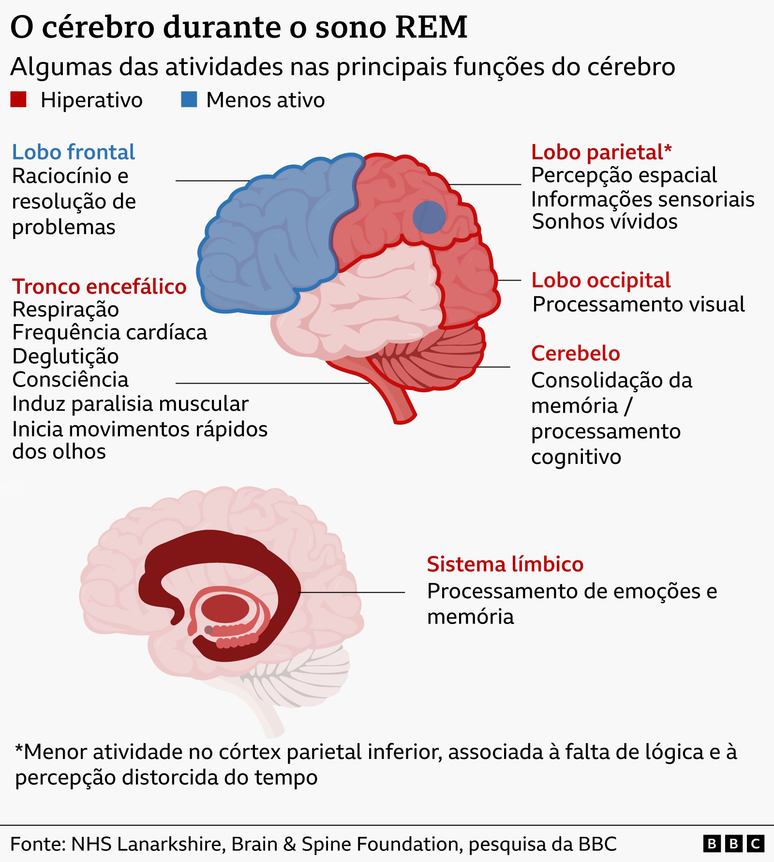 Gr&aacute;fico mostra &aacute;reas do c&eacute;rebro