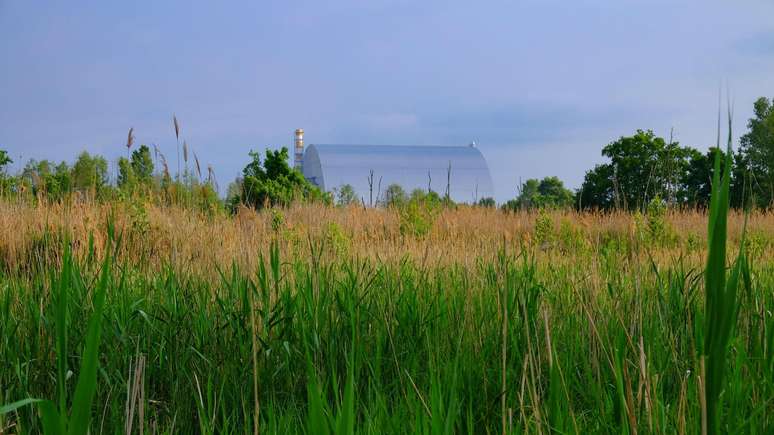Muitas plantas e animais vivem nas proximidades do reator nuclear de Chernobyl, aqui protegidos pela estrutura de confinamento seguro