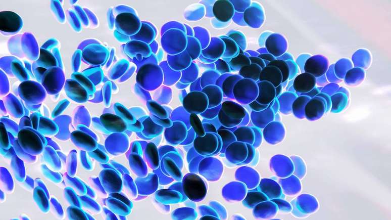 Mais do que cor, os pigmentos do sangue mostram como a qu&iacute;mica ajudou diferentes esp&eacute;cies a sobreviver em condi&ccedil;&otilde;es extremas &ndash; depositphotos.com / plrang