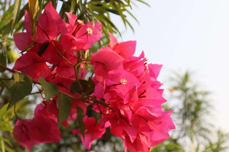 Wirestock Creators/Shutterstock