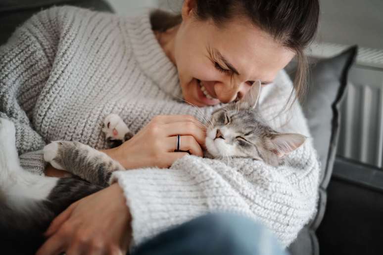 Sans&atilde;o &eacute; o nome perfeito para gatos d&oacute;ceis, que gostam de ficar pr&oacute;ximos ao tutor 