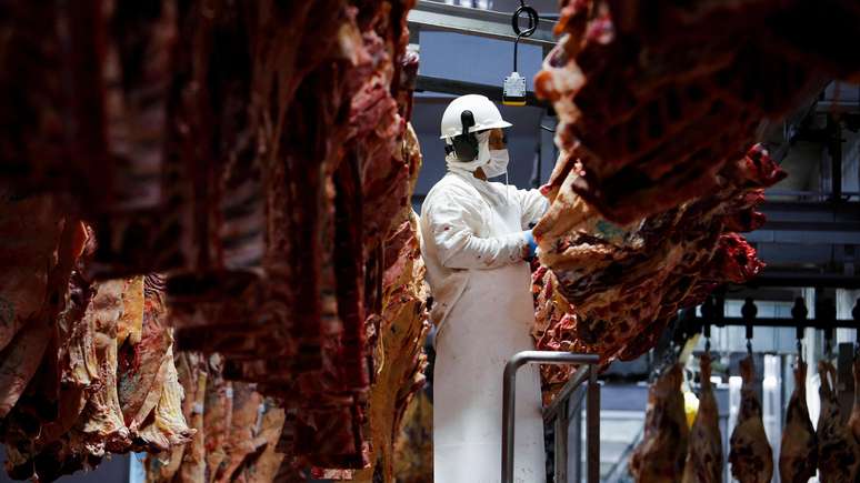 ind&uacute;stria de carne brasileira