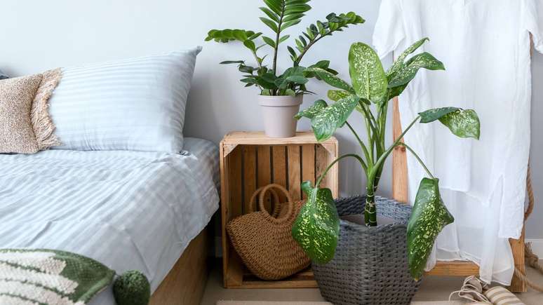 Entre mitos e ci&ecirc;ncia, o verde no quarto se mostra aliado: menos estresse, mais conforto e um ambiente que convida ao descanso &ndash; depositphotos.com / serezniy