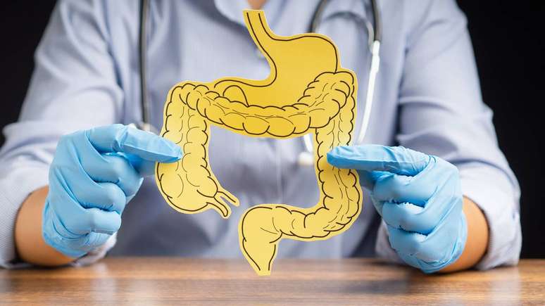 Microbiota intestinal &ndash; depositphotos.com / azatvaleev