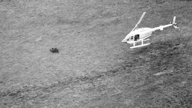 H&eacute;rcules foi encontrado ap&oacute;s ter desaparecido por 24 dias.