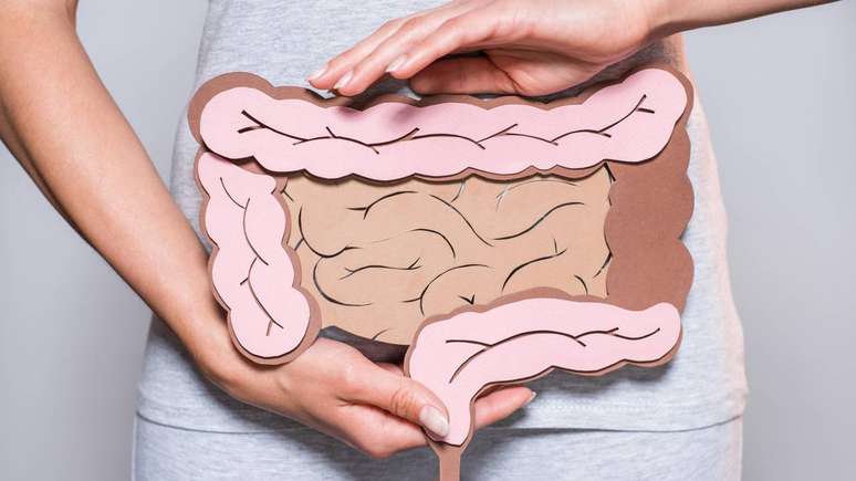 O intestino &eacute; um ecossistema e ainda guarda segredos &ndash; depositphotos.com / KostyaKlimenko