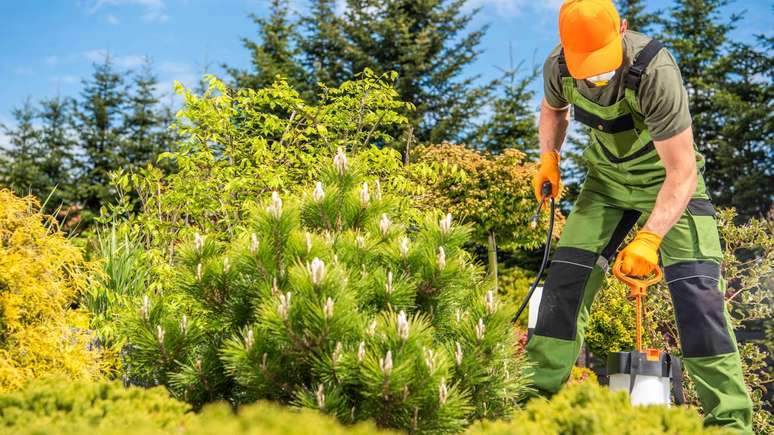 O uso de pesticidas sint&eacute;ticos, amplamente difundido na agricultura moderna, est&aacute; associado a impactos ambientais relevantes, como a contamina&ccedil;&atilde;o de &aacute;gua, a redu&ccedil;&atilde;o da biodiversidade e o surgimento de popula&ccedil;&otilde;es de insetos resistentes &ndash; depositphotos.com / welcomia