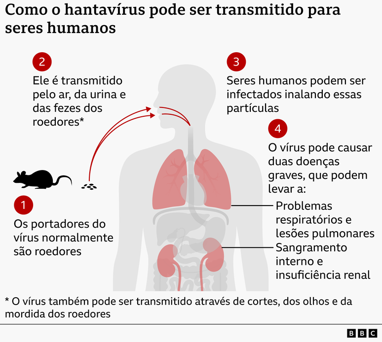 Gr&aacute;fico mostrando a forma de contamina&ccedil;&atilde;o de seres humanos com o hantav&iacute;rus