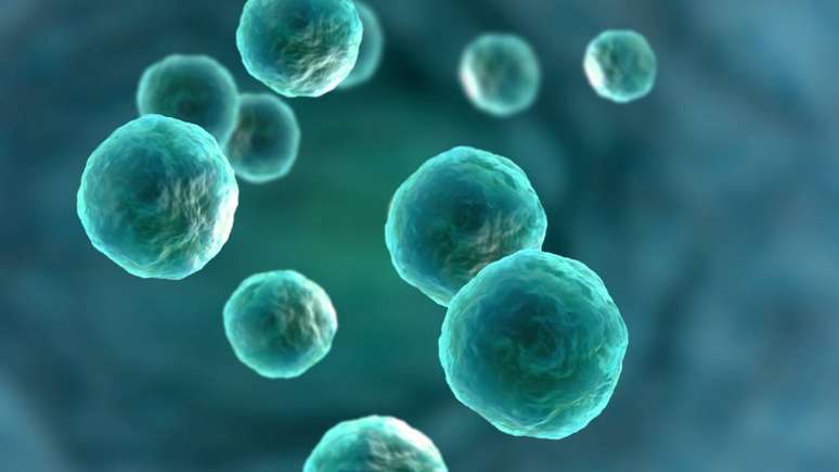 Senol&iacute;ticos surgem como estrat&eacute;gia experimental para eliminar c&eacute;lulas danificadas e reduzir inflama&ccedil;&atilde;o associada ao envelhecimento &ndash; depositphotos.com / ingridat
