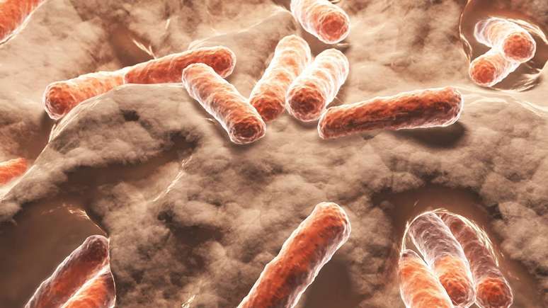 Infec&ccedil;&otilde;es bacterianas &ndash;