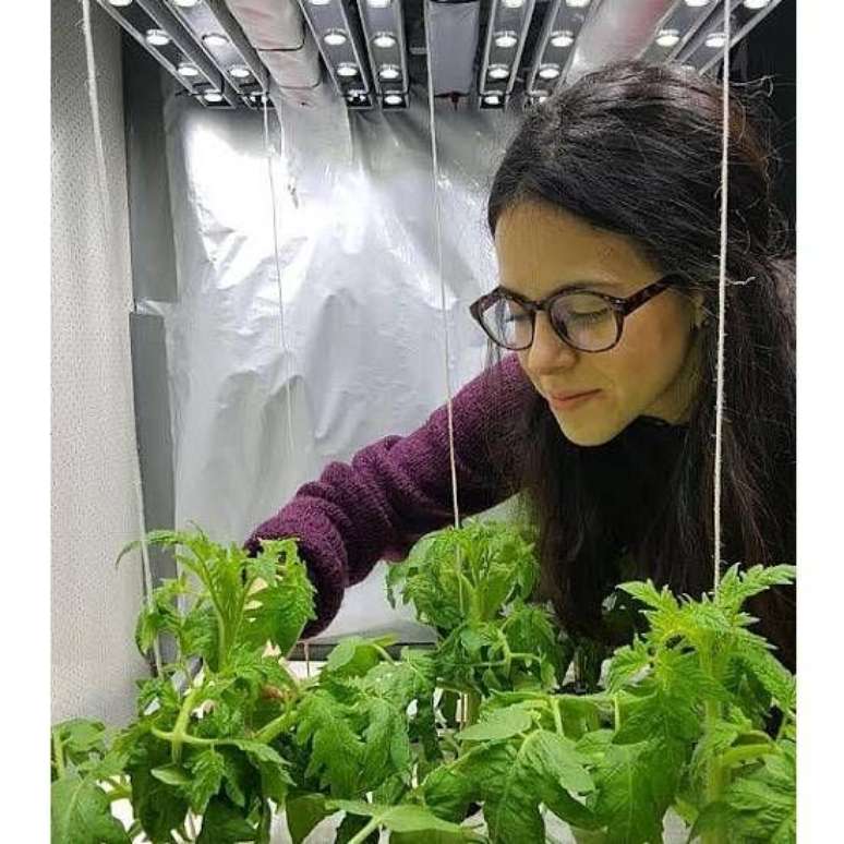 Cientista mexicana Cristina Zepeda &eacute; professora associada de ci&ecirc;ncias vegetais em Wageningen