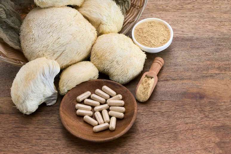 Evid&ecirc;ncias de ensaios com cogumelos juba de le&atilde;o em humanos mostraram resultados mistos. vetre/ Shutterstock