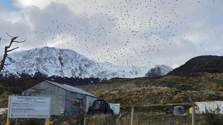 Um aterro sanit&aacute;rio nos arredores de Ushuaia foi identificado como poss&iacute;vel fonte da infec&ccedil;&atilde;o do hantav&iacute;rus