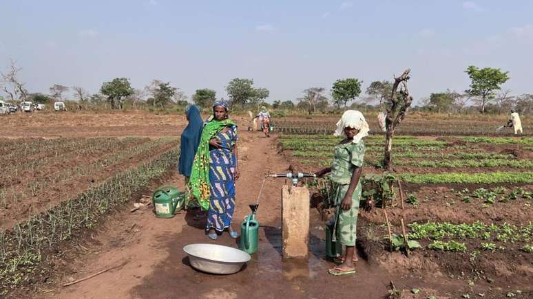 Uma planta&ccedil;&atilde;o perto de Bangui, na Rep&uacute;blica Centroafricana, mulheres promovem produtos locais por meio de pr&aacute;ticas agr&iacute;colas intensivas para alcan&ccedil;ar sua emancipa&ccedil;&atilde;o.