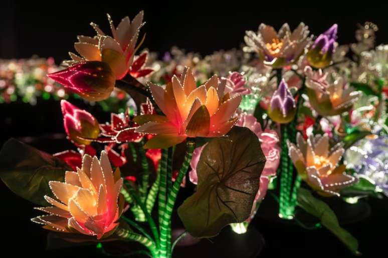 A exposi&ccedil;&atilde;o 'Jardim do &Eacute;den', de Joana Vasconcelos