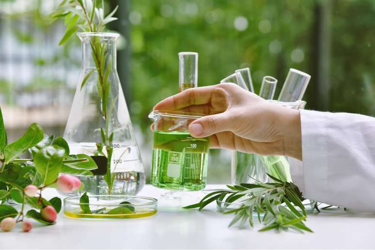 O uso de plantas medicinais exige cautela, j&aacute; que intera&ccedil;&otilde;es e uso incorreto podem trazer riscos &agrave; sa&uacute;de 
