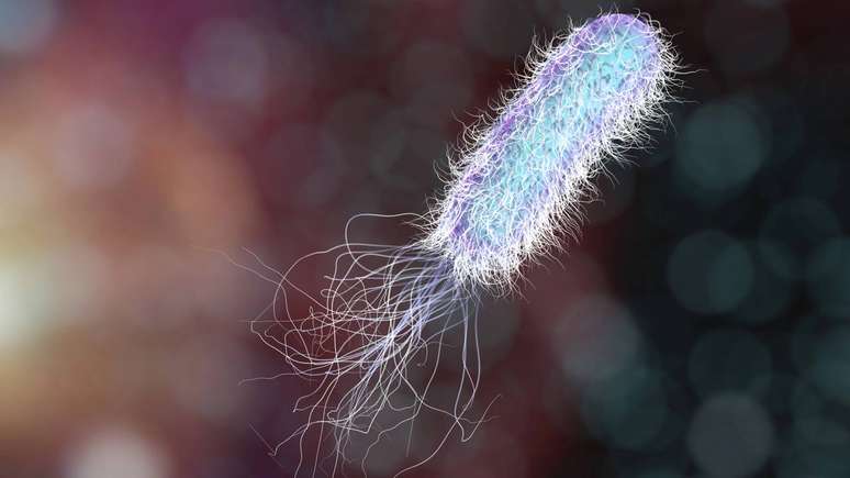 Entre os microorganismos que mais aparecem em relat&oacute;rios t&eacute;cnicos est&atilde;o bact&eacute;rias dos g&ecirc;neros Pseudomonas, Burkholderia e Enterobacter. Al&eacute;m disso, em diferentes esp&eacute;cies de fungos e leveduras que se adaptam bem a meios aquosos &ndash; depositphotos.com / katerynakon