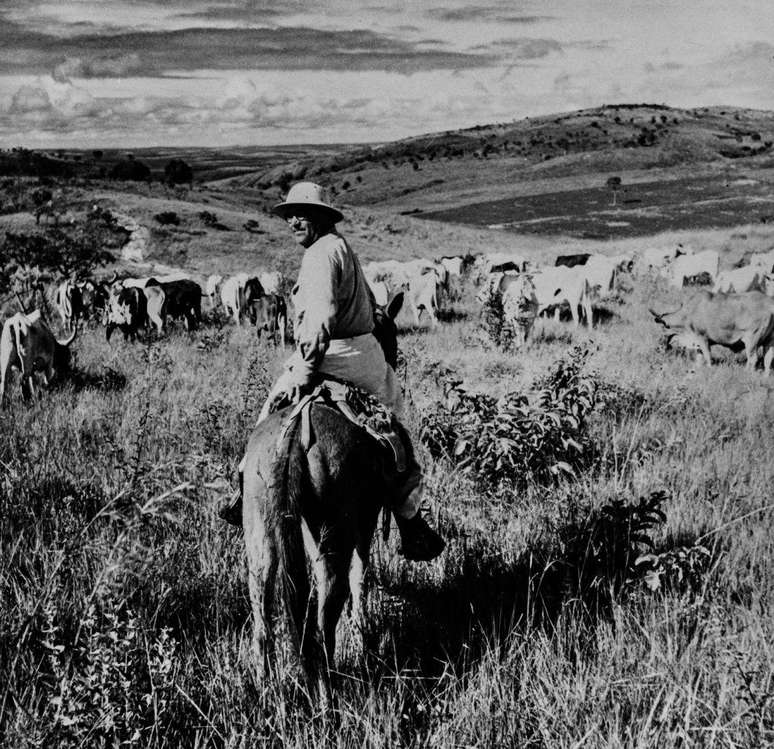 Rosa durante viagem ao sert&atilde;o de Minas Gerais, em 1952
