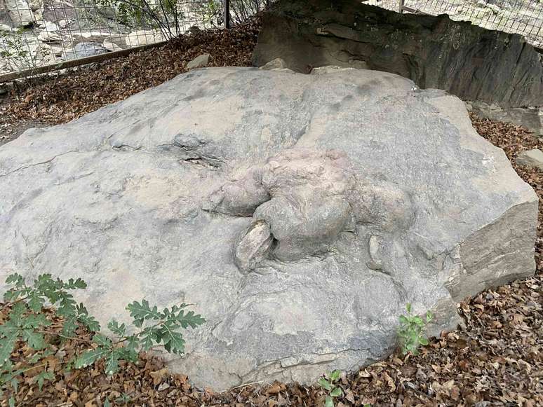 Poss&iacute;vel pegada de T-Rex perto de Anasazi em Philmont em 2022.