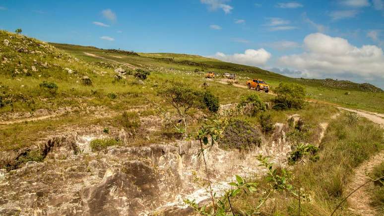 Cerrado brasileiro &ndash; depositphotos.com / mailsonpignata
