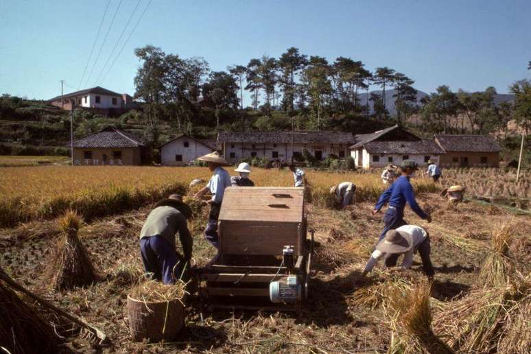 Camponeses chineses em 1970