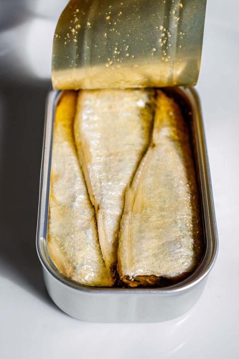 O principal nutriente das sardinhas s&atilde;o os &aacute;cidos graxos &ocirc;mega-3, fundamentais para o funcionamento do c&eacute;rebro e do cora&ccedil;&atilde;o