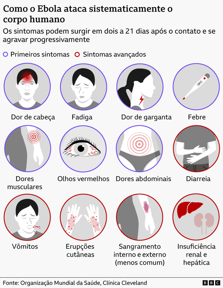 Gr&aacute;fico explicando os diferentes sintomas do Ebola e como ele ataca o corpo humano