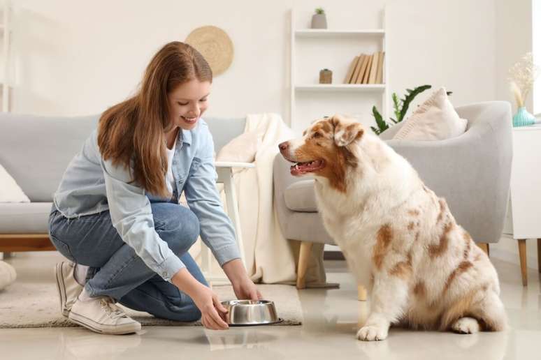 Colocar a ra&ccedil;&atilde;o em superf&iacute;cies maiores ajuda o cachorro a comer mais devagar, estimula o faro e torna a refei&ccedil;&atilde;o mais divertida e natural 