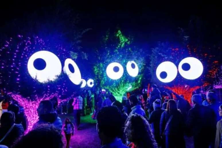 Festival Brilha Sonhos chega no Parque Villa Lobos