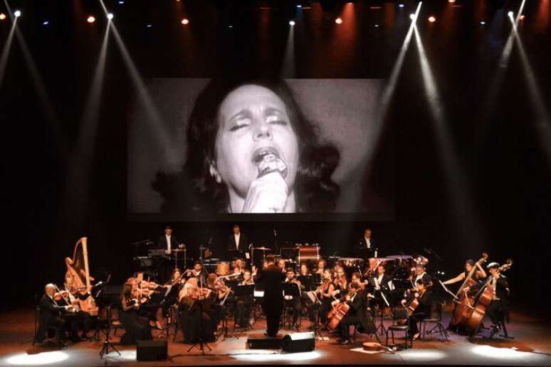 S&atilde;o Paulo receber&aacute; homenagem a Am&aacute;lia Rodrigues