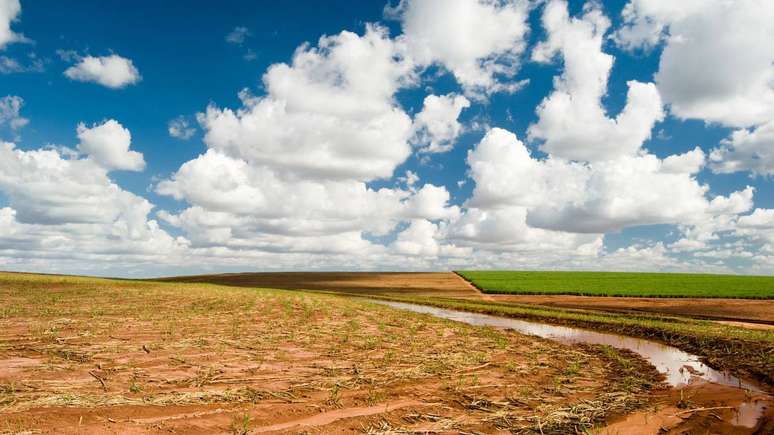 A desertifica&ccedil;&atilde;o &eacute; considerada um dos motores da perda de biodiversidade em zonas secas &ndash; depositphotos.com / xicoputini