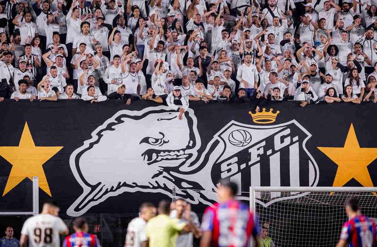 Santos tem decis&atilde;o na Copa Sul-Americana &ndash;