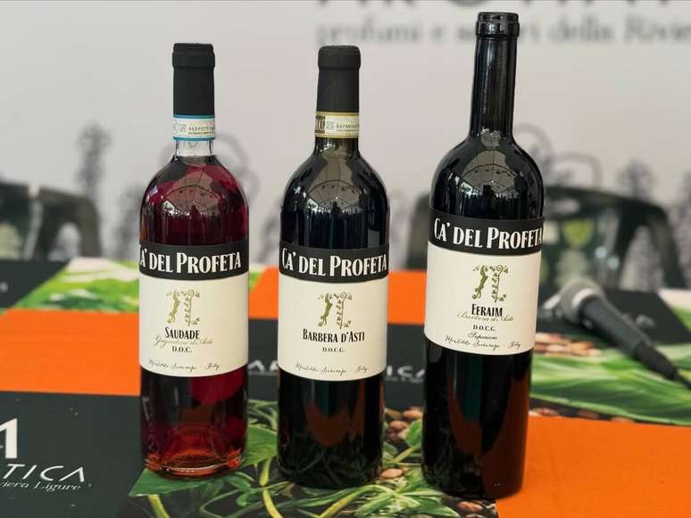 Vinhos da vin&iacute;cola de Hernanes, o Profeta &ndash;