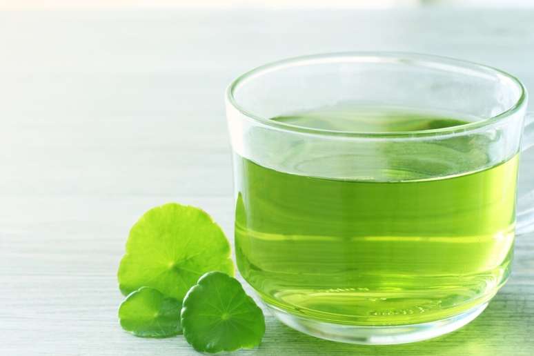 Ch&aacute; de centella asi&aacute;tica 